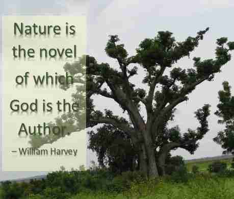 Nature quote by William Harvey