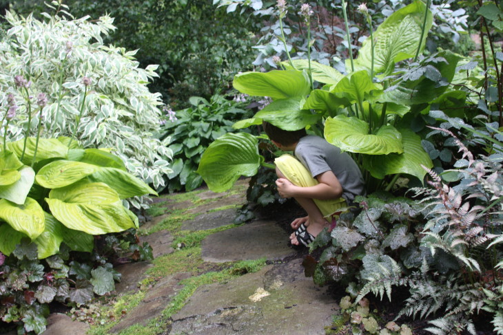 turning your garden into a lab for kids to learn everything from biology and math to marketing and economics 