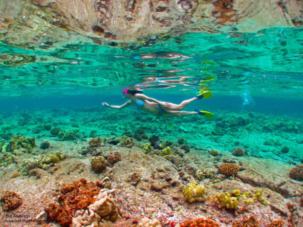 Snorkeler