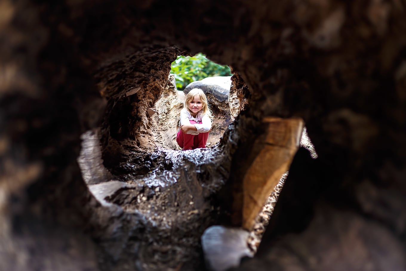 Child Exploring on a Nature Walk