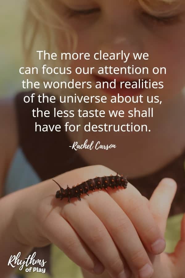 Child studying a caterpillar in a nature forest school kindergarten.