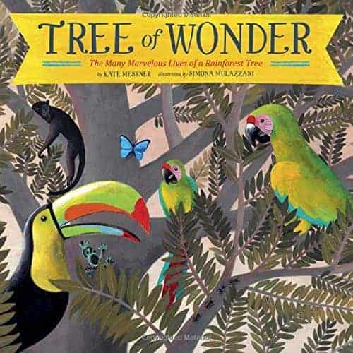 Tree of Wonder 