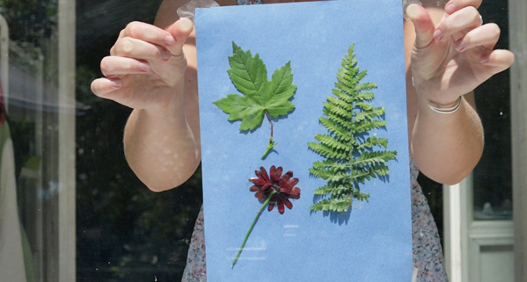 hands holding flowers and leaves backed onto paper up against a window