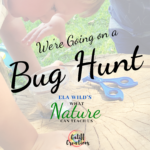 We're Going on a Bug Hunt!