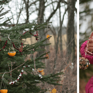 Decorating an Outdoor Edible Tree for the Animals