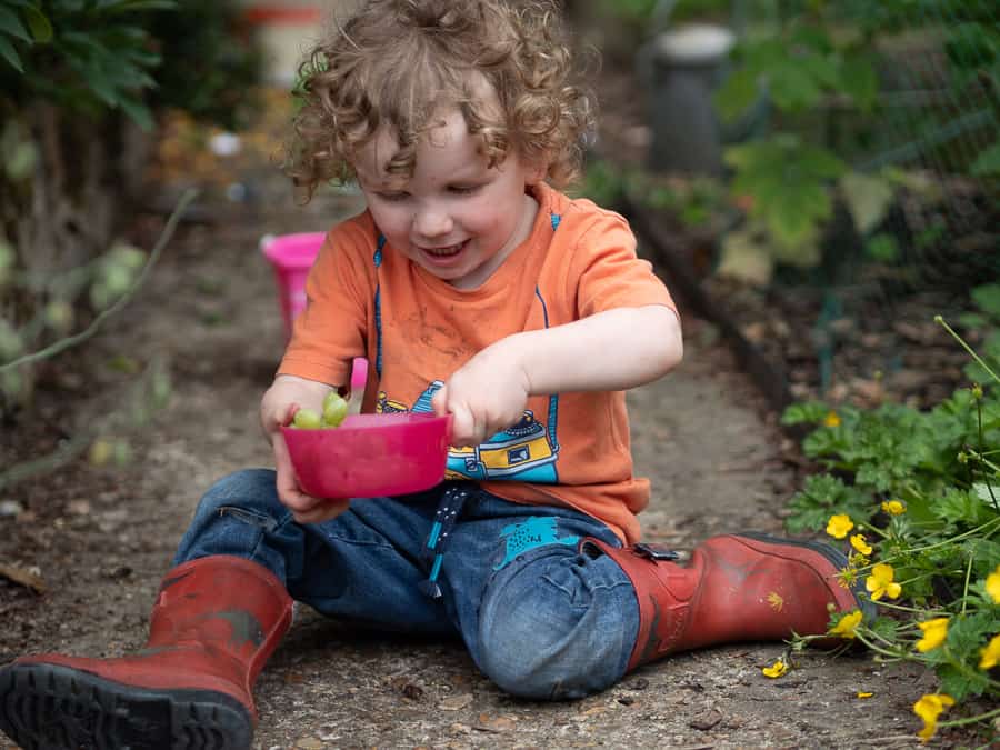 Outdoor Spring Nature Activities for Kids to do in the Garden