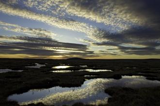 Pool system on peat bog