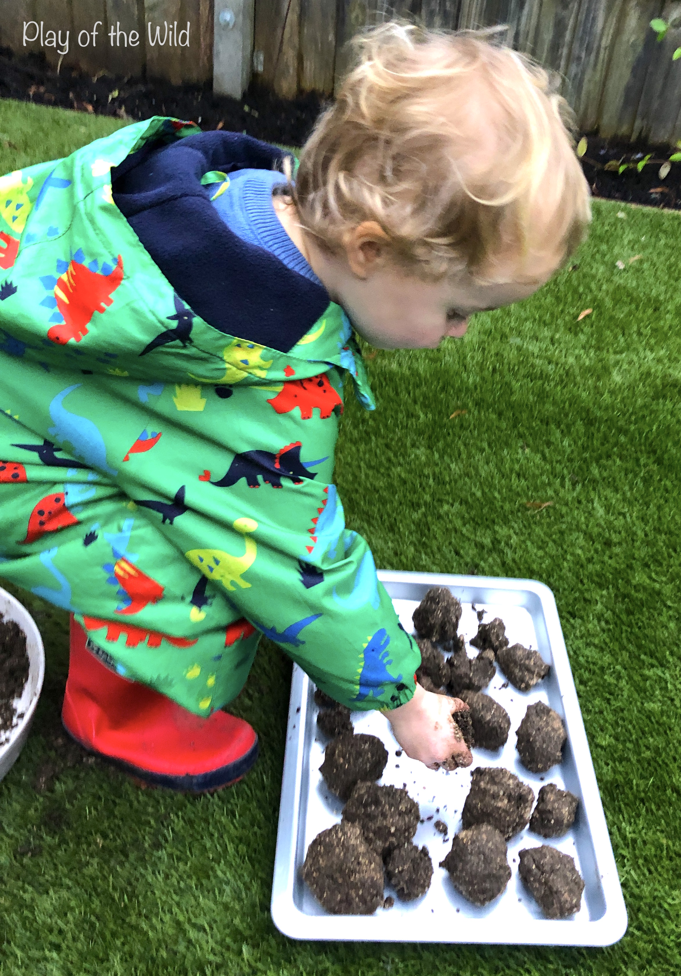 making seed bombs with