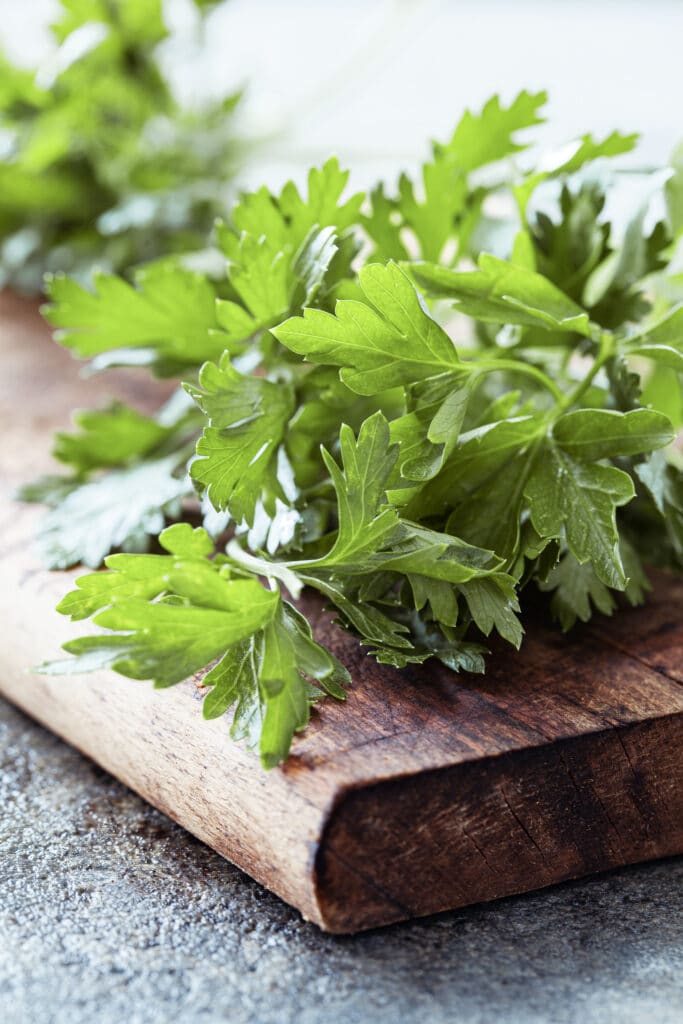 Freshly cut parsley on a rustic wooden board. 