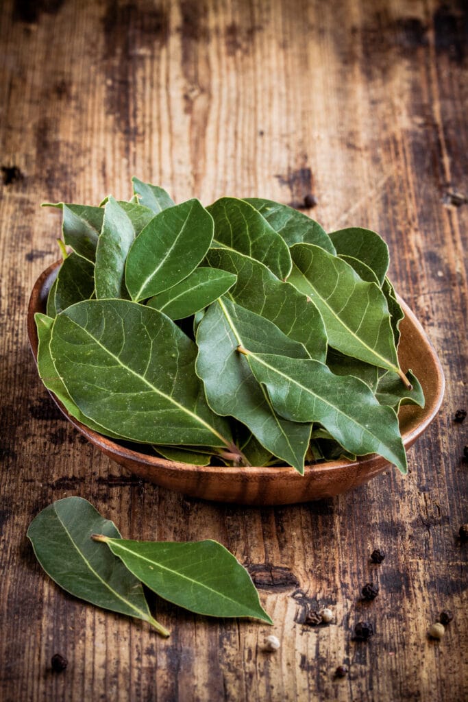 Fresh perennial herb bay leaves in a wooden bowl on a rustic wooden background