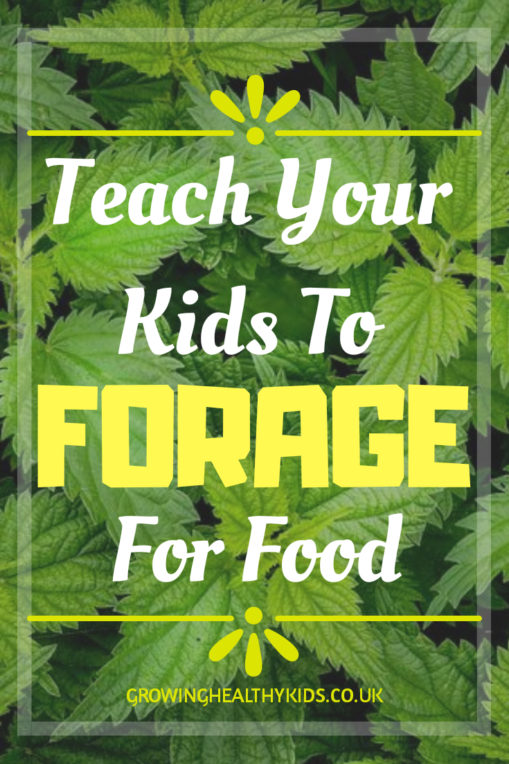 Teach kids to forage