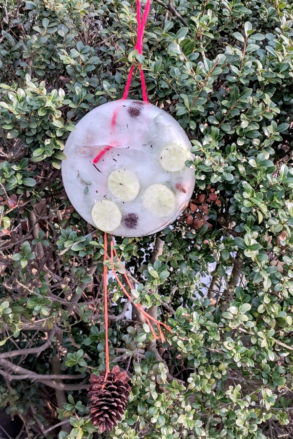 Hanging Ice Sculpture and Loose Parts Play in Winter