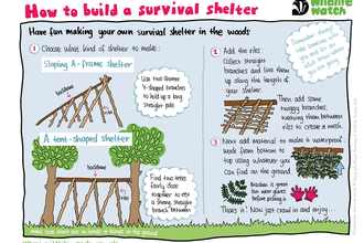 Survival shelter