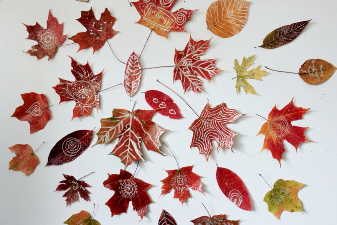 leaf mandalas on wall