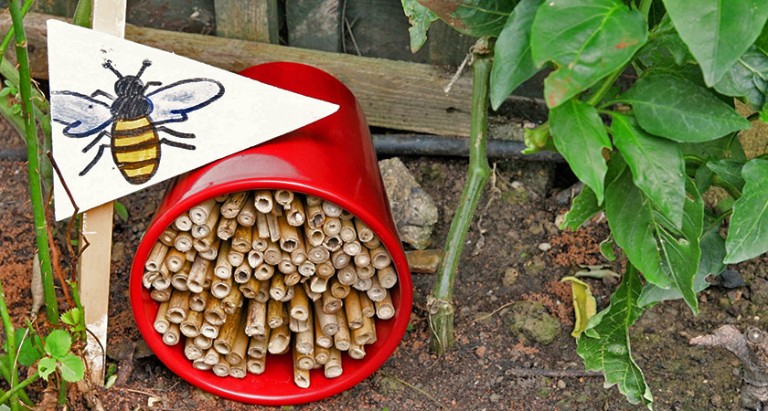 a pot full of bamboo rods, and a flag with a bee on it