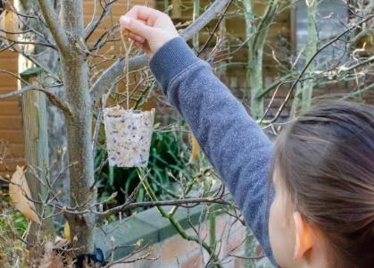 hanging a homemade bird feeder in a tree