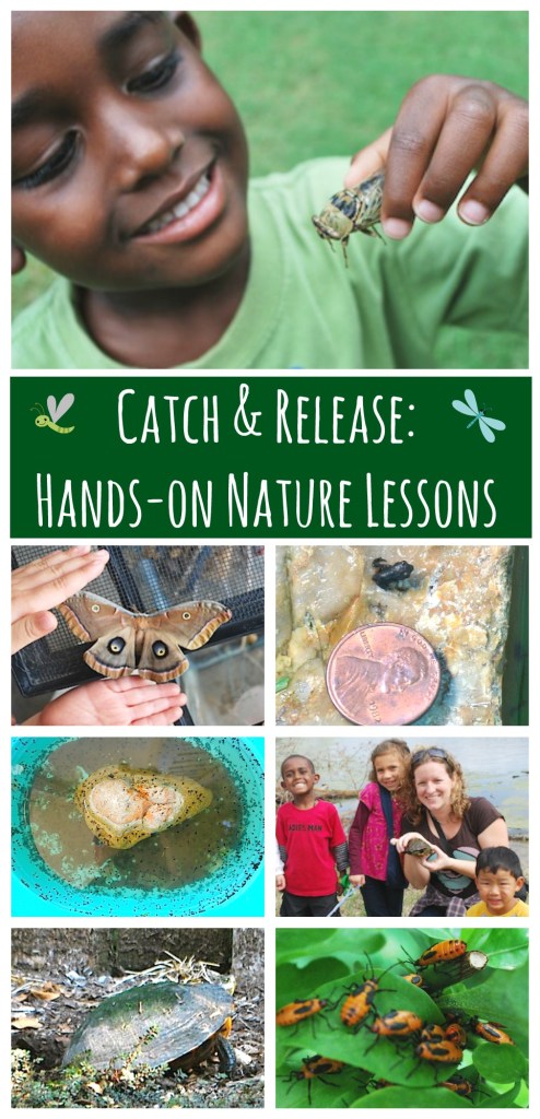 Nature Watch Catching Critters- Kid World Citizen