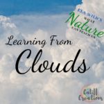 Learning From Clouds