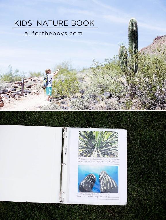 DIY nature book - with printables!