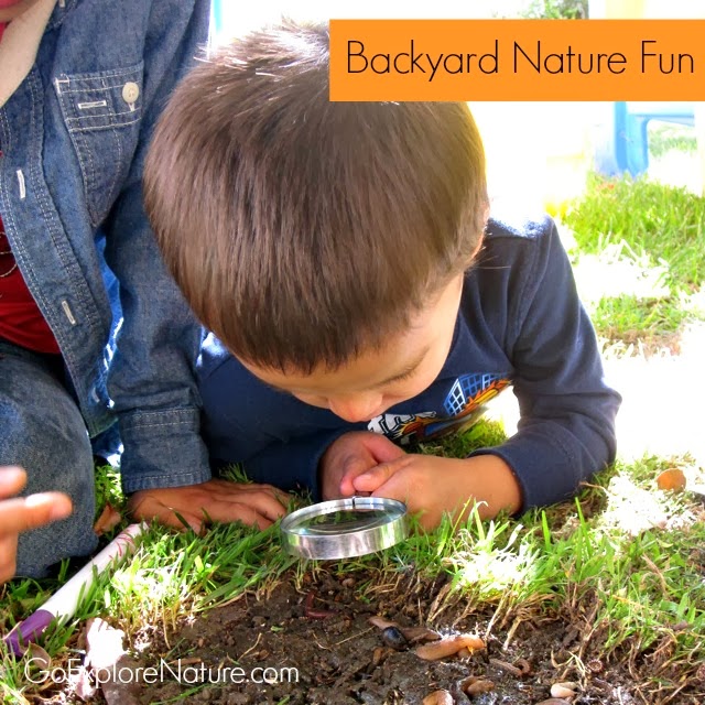 Backyard Nature Fun