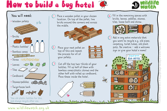 Build a bug hotel