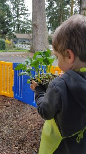 Teaching Toddlers How Things Grow and How to Plant a Garden. Gardening with Toddlers