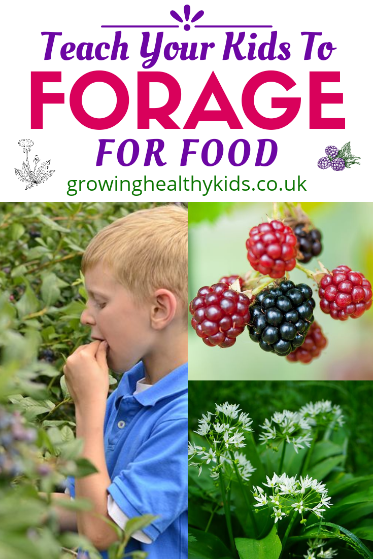 Forage with kids