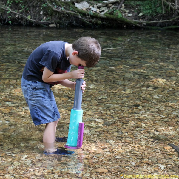 Use the Nancy B's Science Club AquaScope to explore under water.