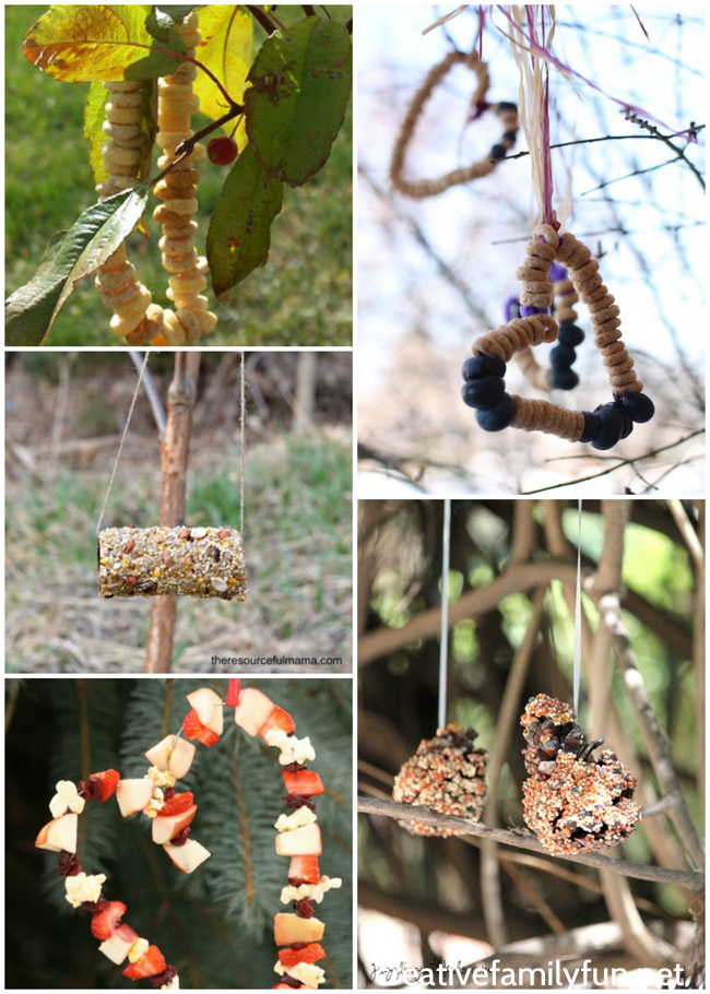 Invite the birds to your yard with one of these kid-made bird feeders. DIY bird feeders are a great family craft and a fun way to learn about nature.