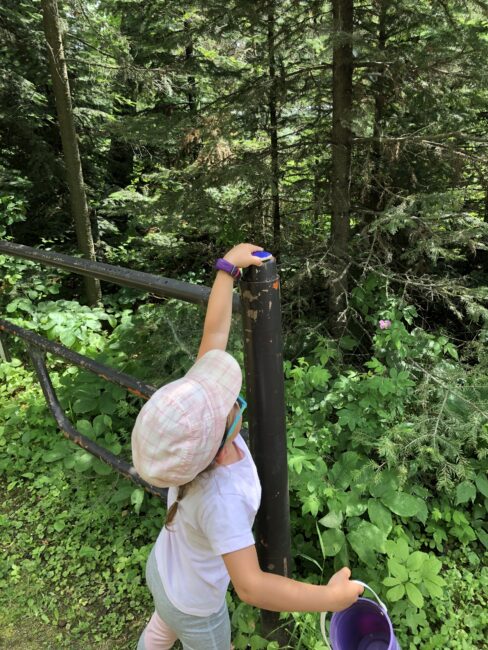 Kids hiding the nature collection colored rocks for others to find.