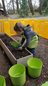 Teaching Toddlers How Things Grow and How to Plant a Garden. Gardening with Toddlers