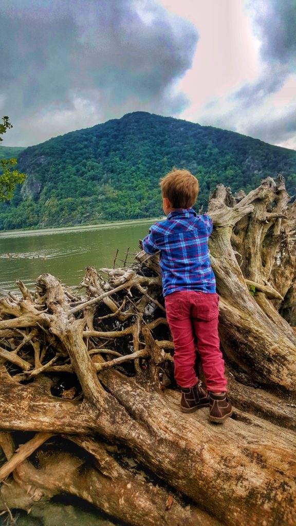 Watching the ducks after climbing on a fallen tree