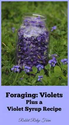 This contains an image of: Violet Jam & a Recipe Round Up! - They're Not Our Goats