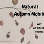 How To Make Beautiful Nature Mobile For Kids