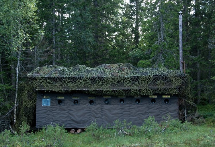 Photo hide for Brown bear watching. Photo: Håkan Vargas