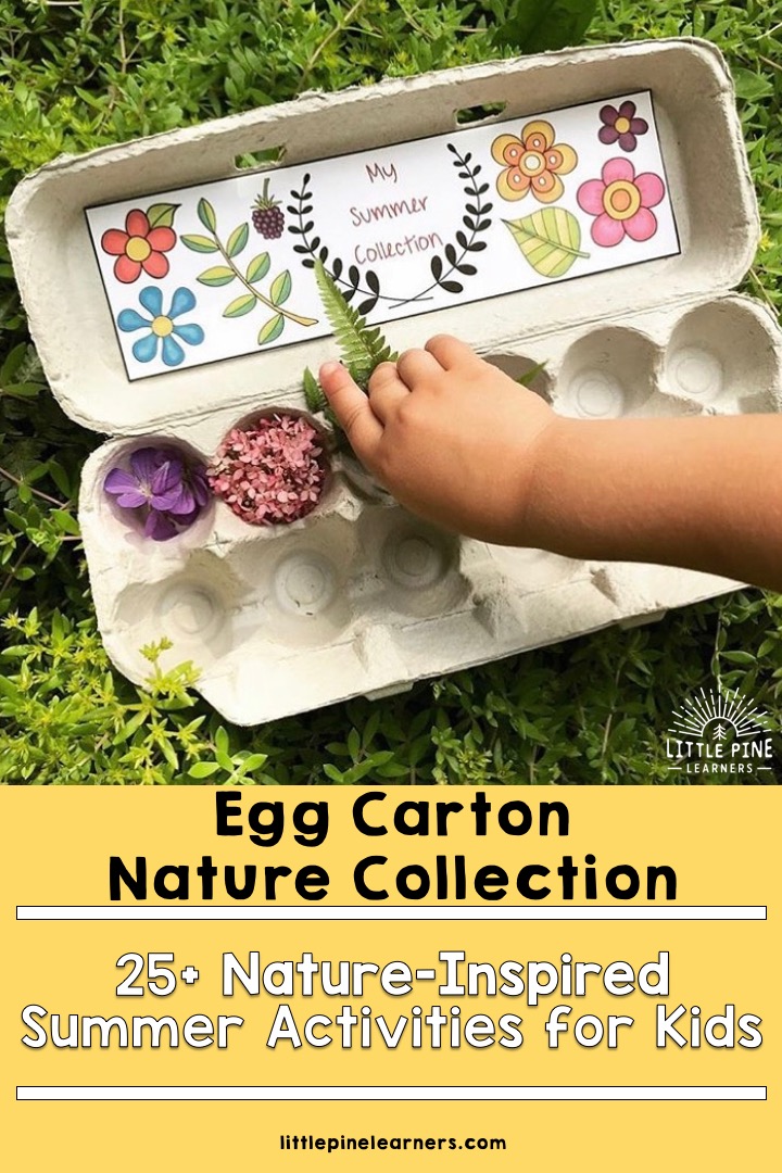 A fun way to collect nature! #outdooractivities #naturecrafts #natureactivities