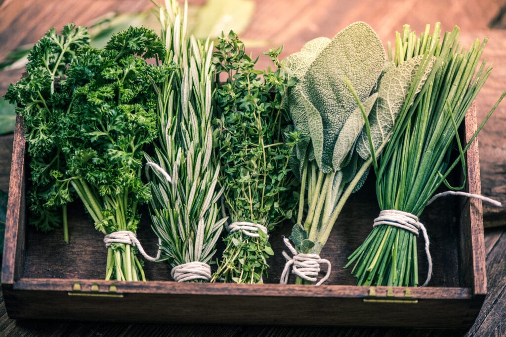 close view on fresh  perennial herbs bunch in a rustic wooden box. 