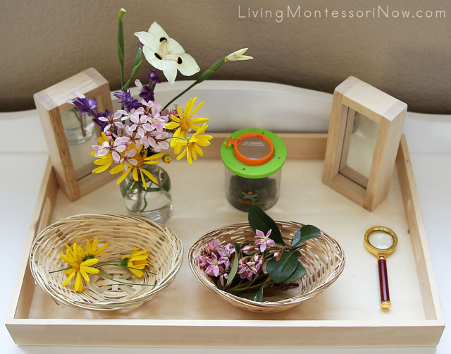 Montessori Nature Trays and Nature Tables