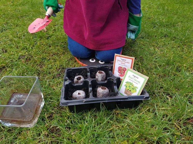 Seed tray with a child kneeling near it