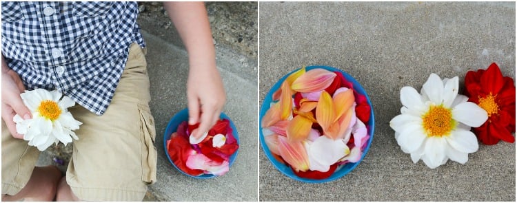 Flower Petal Canning: Depetalling in progress.