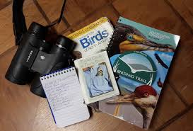 Bird Watching 101 - Colorado Outdoors ...