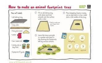 Footprint trap