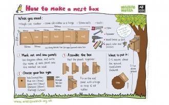 Make a nest box