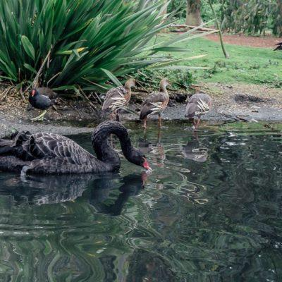 London Wetland Centre and why kids need to drink more water