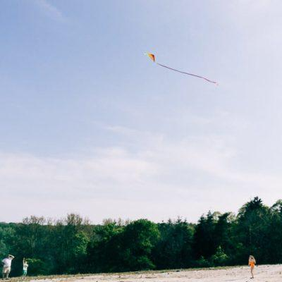 My kids said ‘Let’s go fly a kite’