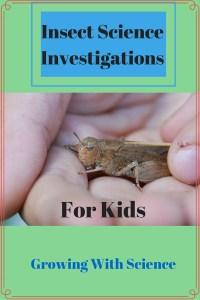 Insect Science Investigations