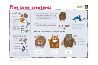 Pine cone creatures