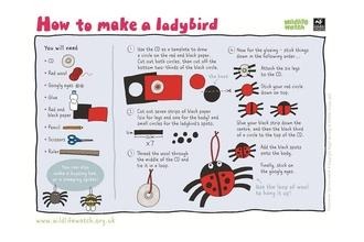 Ladybird craft