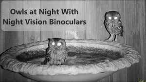 Related video thumbnail