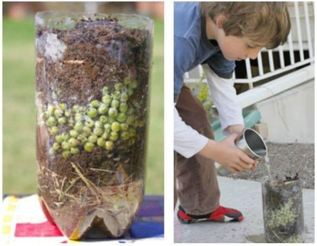 Child checking a plastic bottle containing layers of soil, vegetables, and more